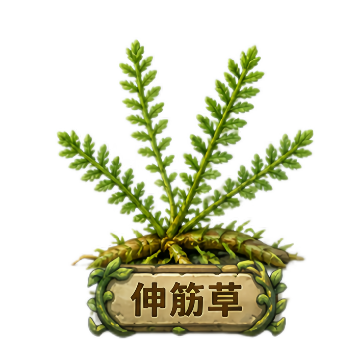 药草五